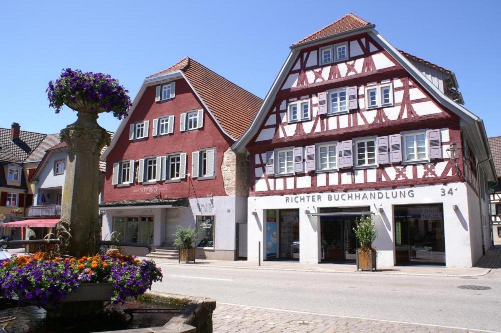 Haus Irmgard Apartment Zell am Harmersbach Exterior photo